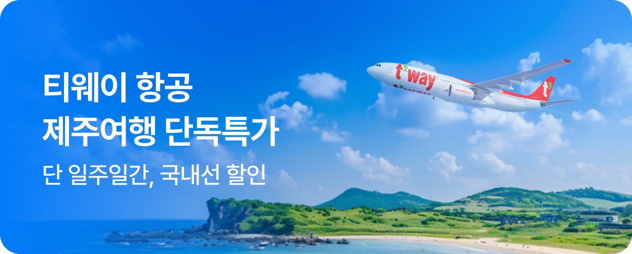[항공] 티웨이 항공 국내선 특가