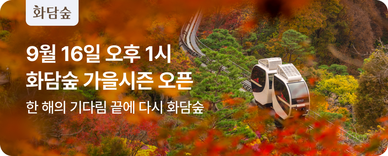 2026 화담숲 가을시즌
