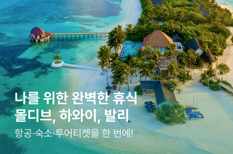 [해외숙소] 완벽한 휴식 몰디브 하와이 발리