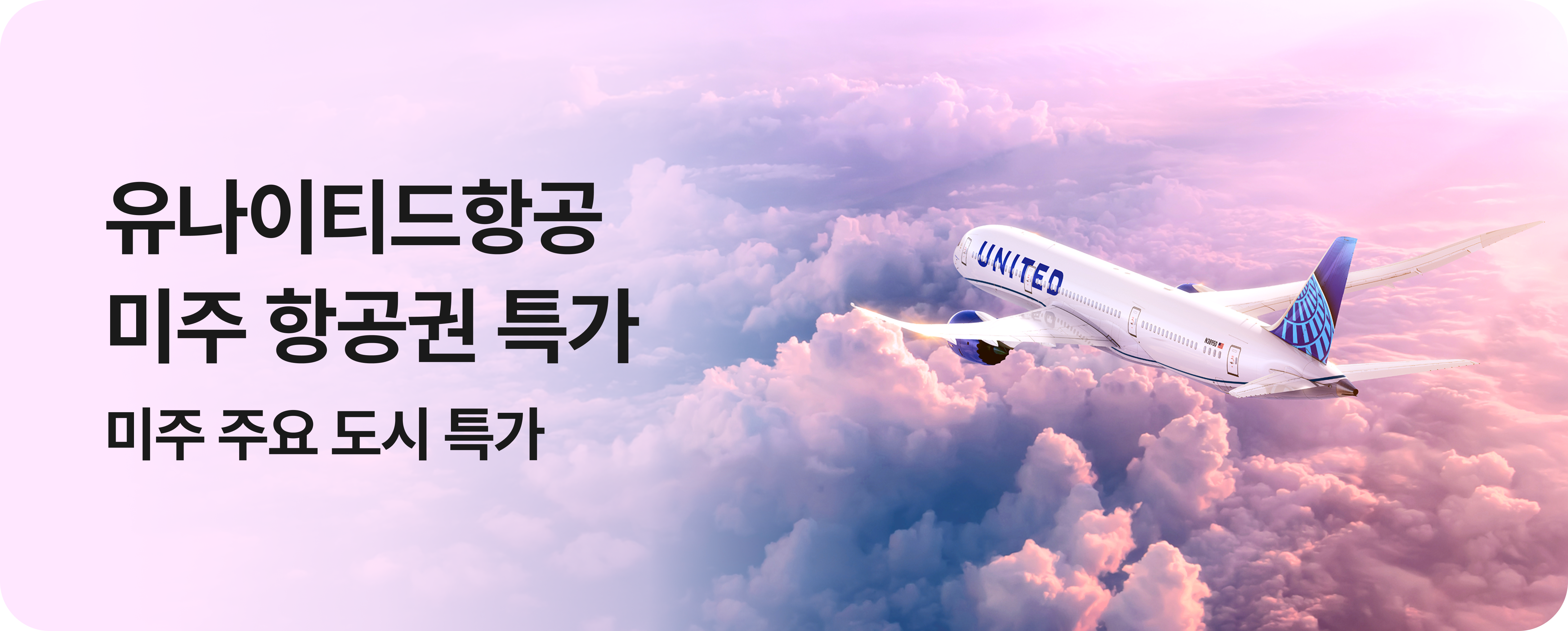 유나이티드항공 미주 노선 특가