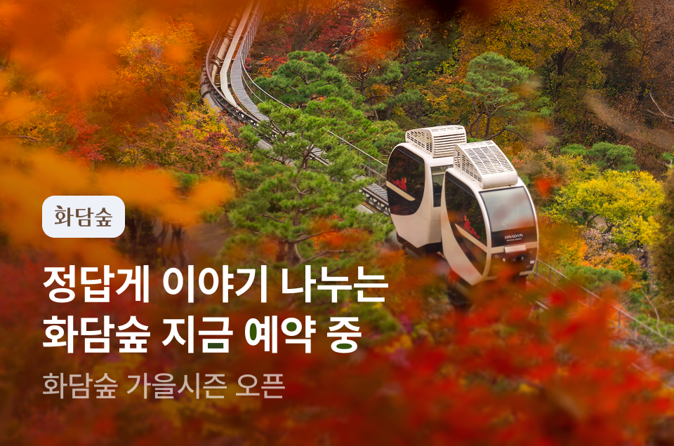 [놀거리] 화담숲 가을시즌