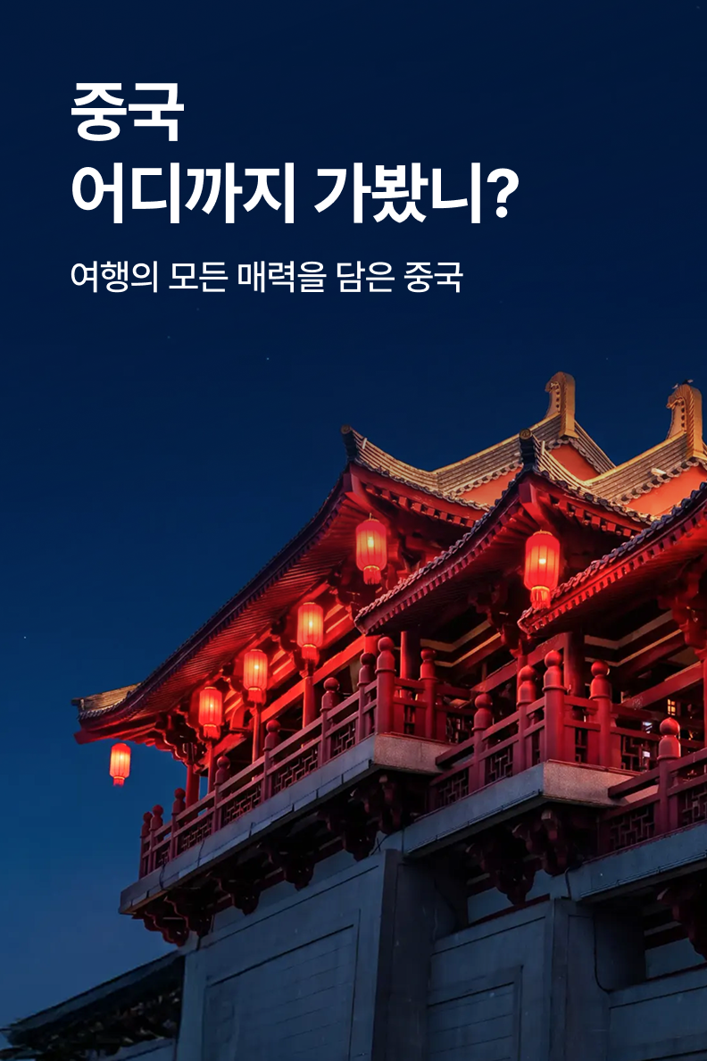 [패키지] 중국 종합전