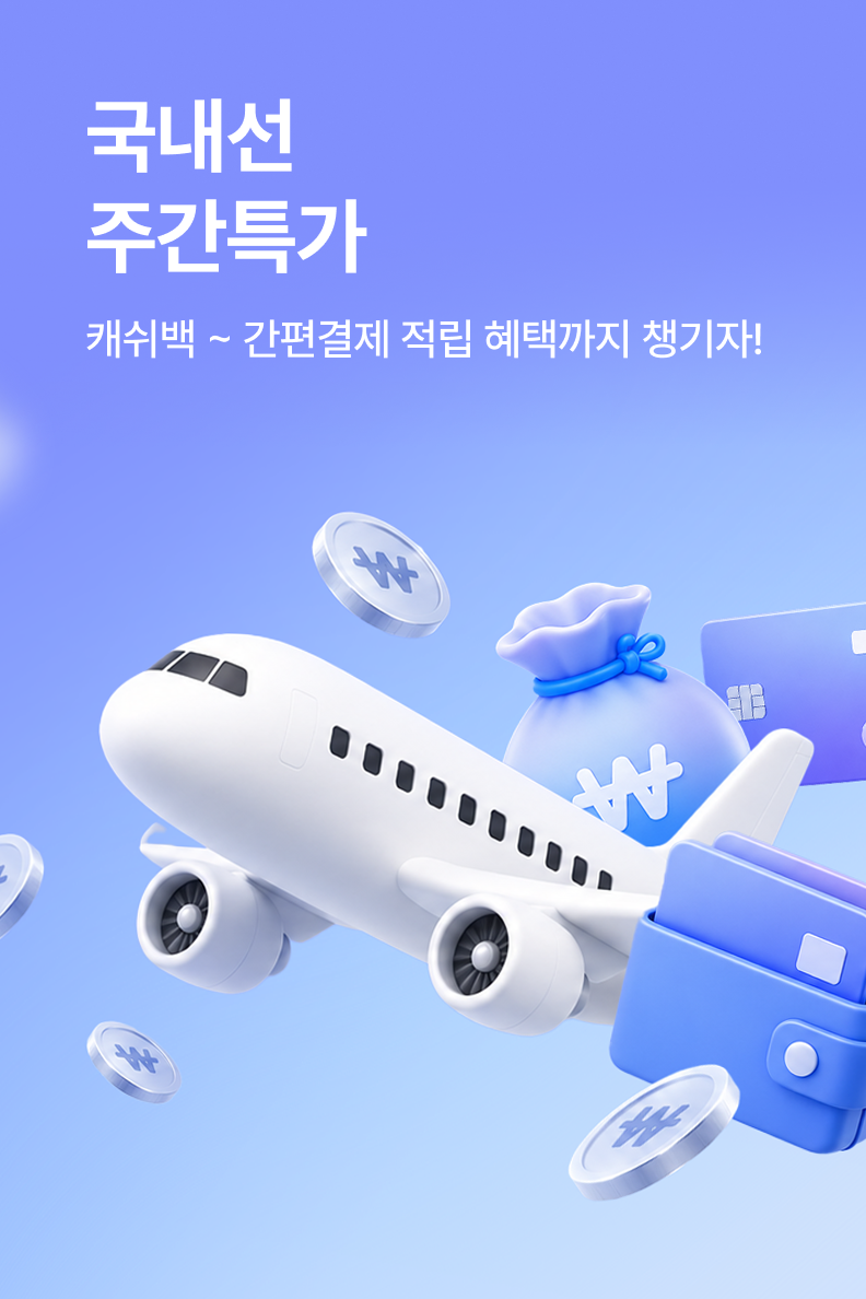 [항공] 국내선 주간특가