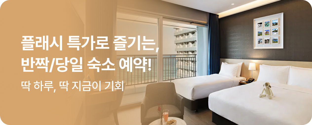 [상시] 플래시 특가