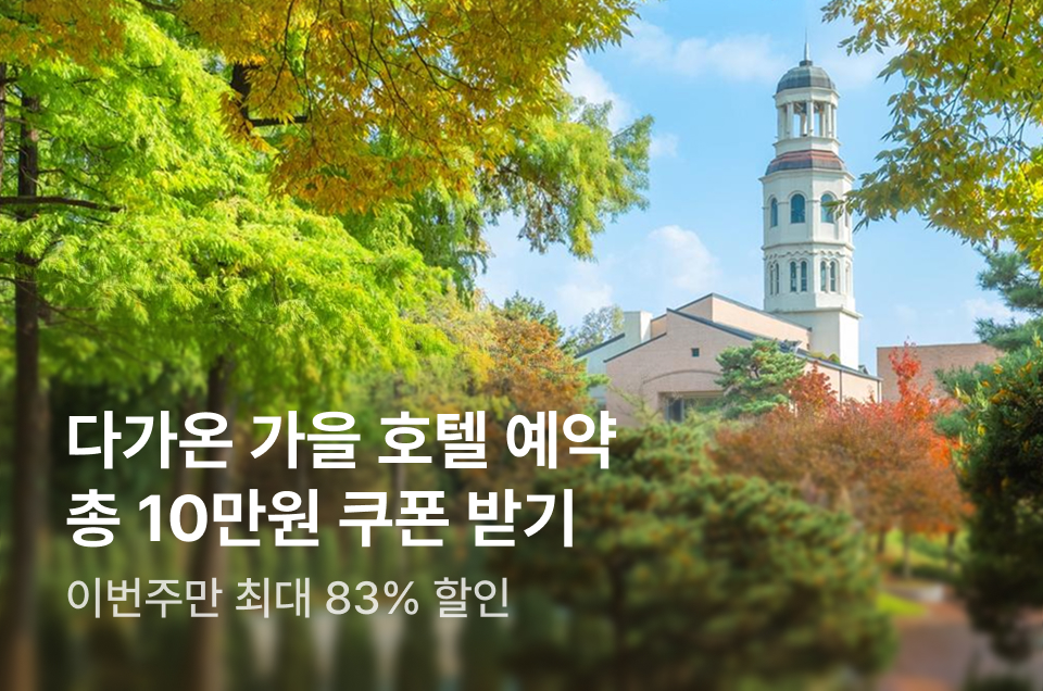 [호텔] 이번주 특가
