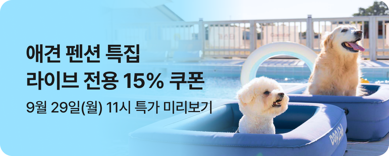 애견 펜션 특집 라이브 특가