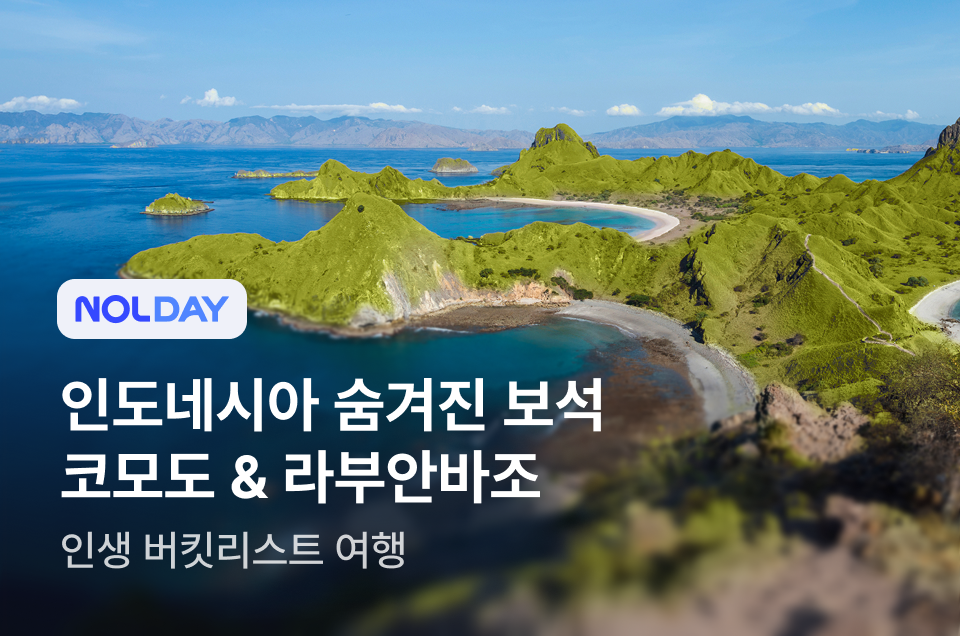 [패키지] 코모도 아일랜드
