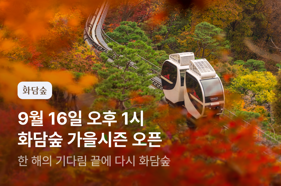 [놀거리] 화담숲 가을시즌 티징