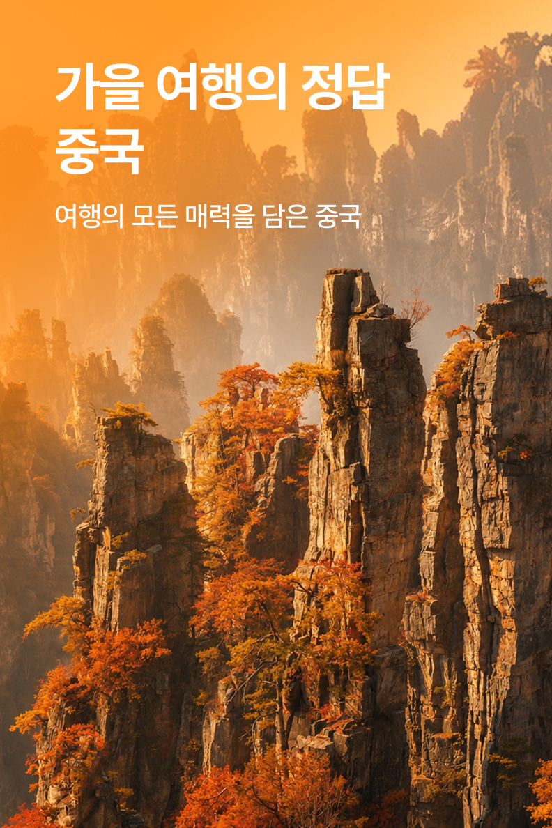 [패키지] 중국