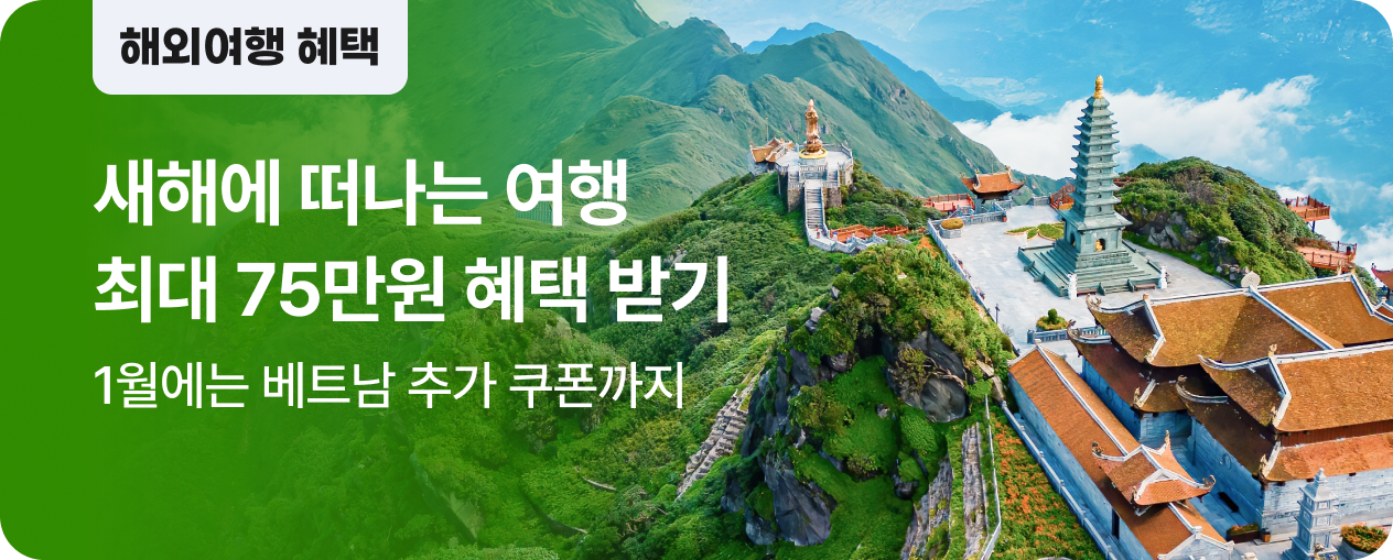 새해에 떠나는 해외여행