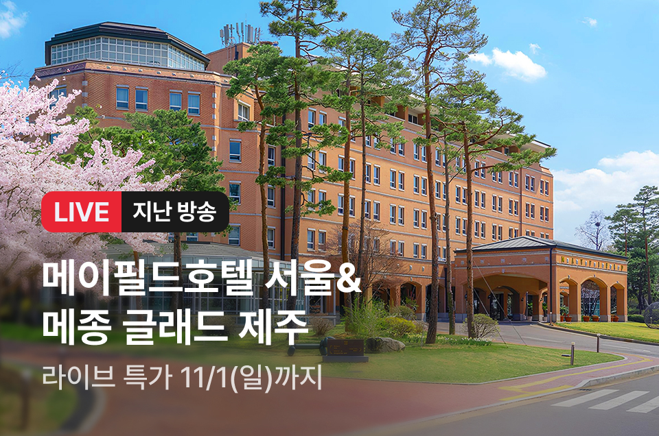 [라이브] 서울&제주 5성급 특가 방송후