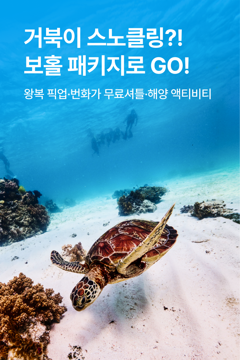 [패키지] 보홀