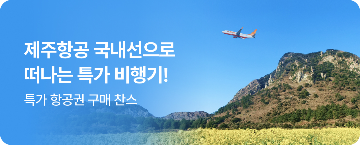 제주항공 국내선 특가