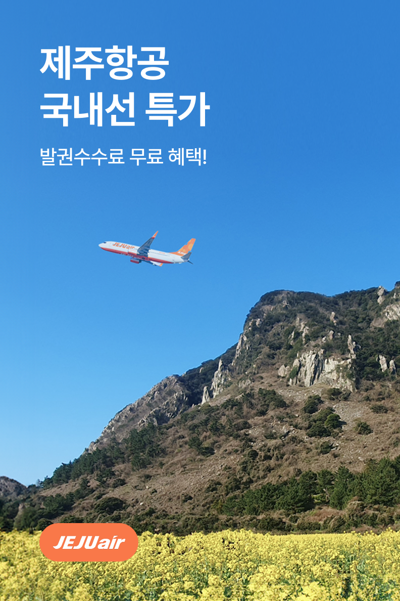 [항공] 제주항공 국내선
