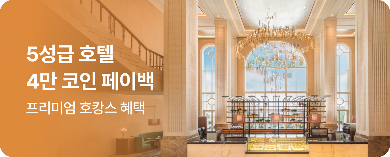 5성급 페이백