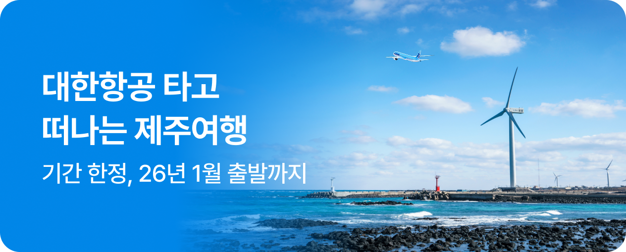 대한항공 국내선 특가