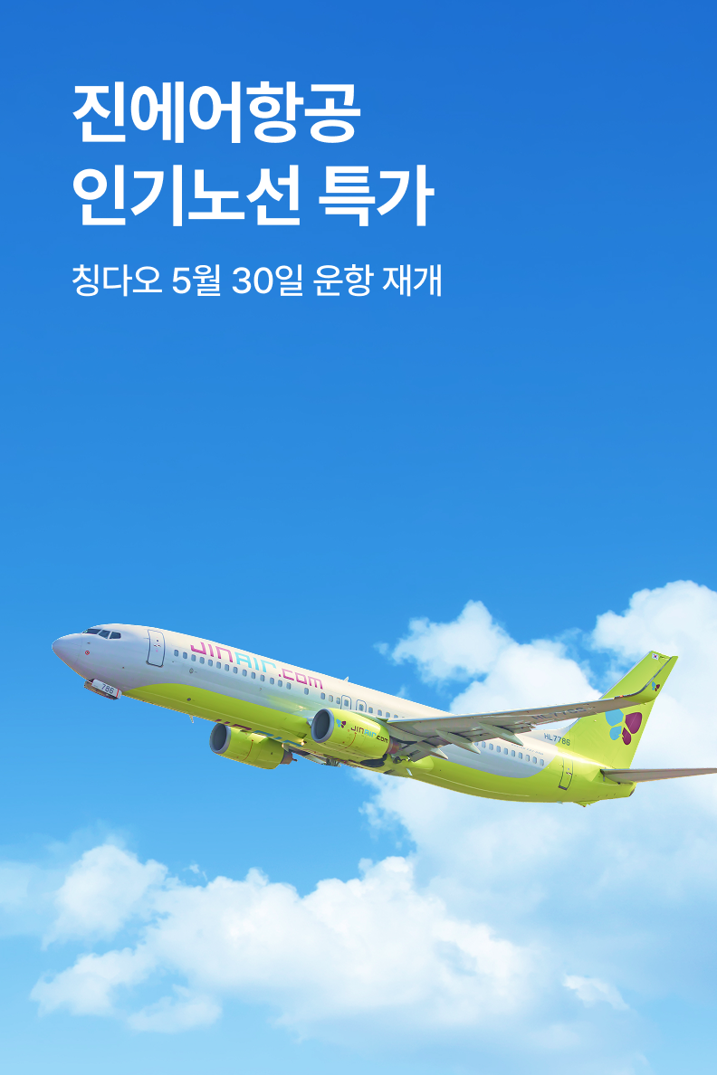 [항공] 진에어 항공