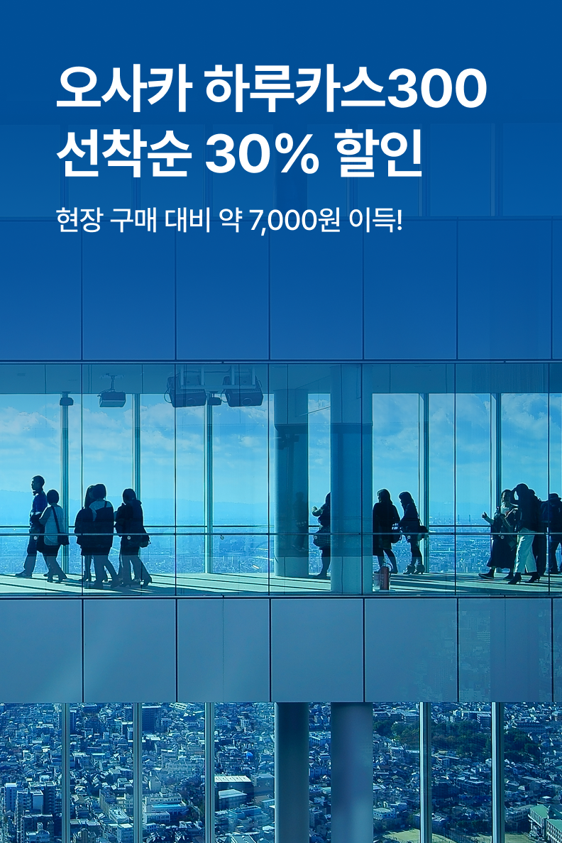 [해외투어티켓] 하루카스