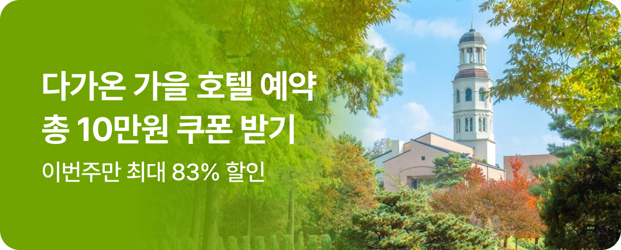 쿠폰팩&이번주 대표 특가 호텔