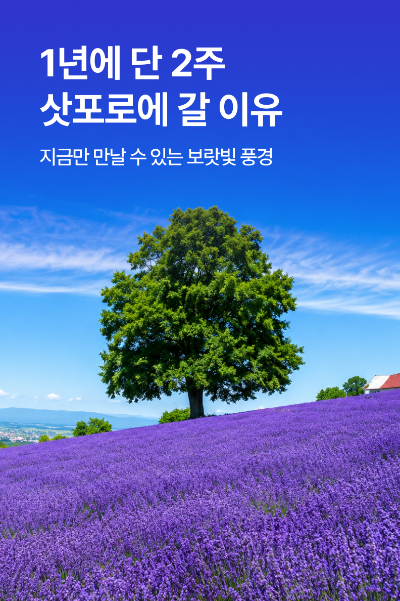 [해외투어티켓] 삿포로