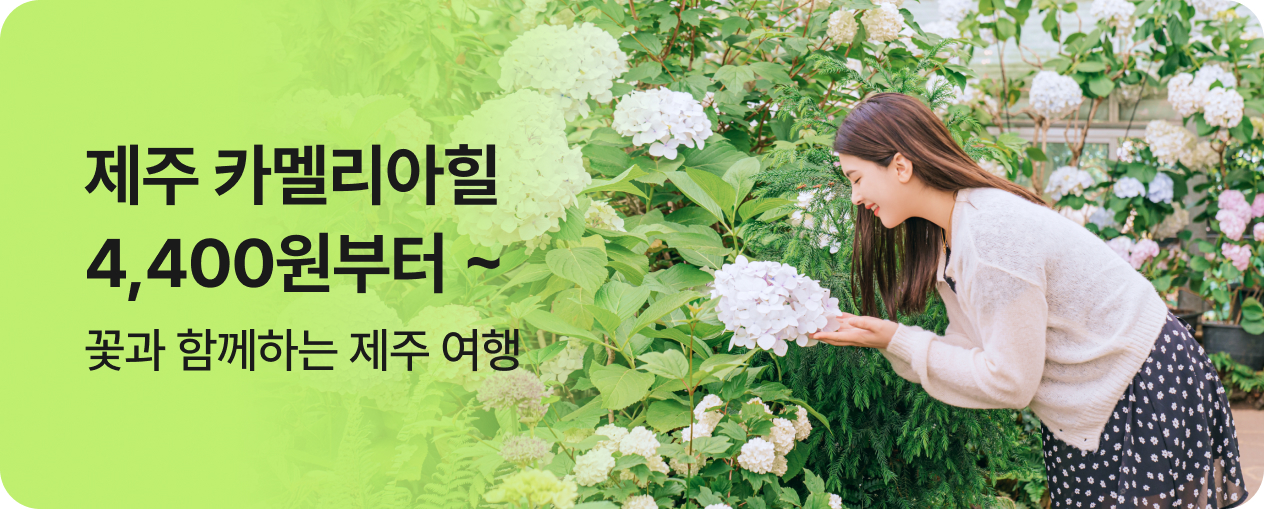 카멜리아힐