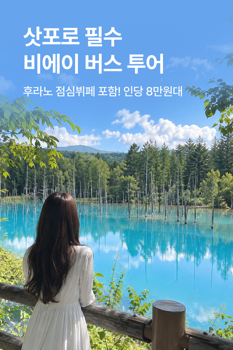 [해외투어티켓] 버스투어