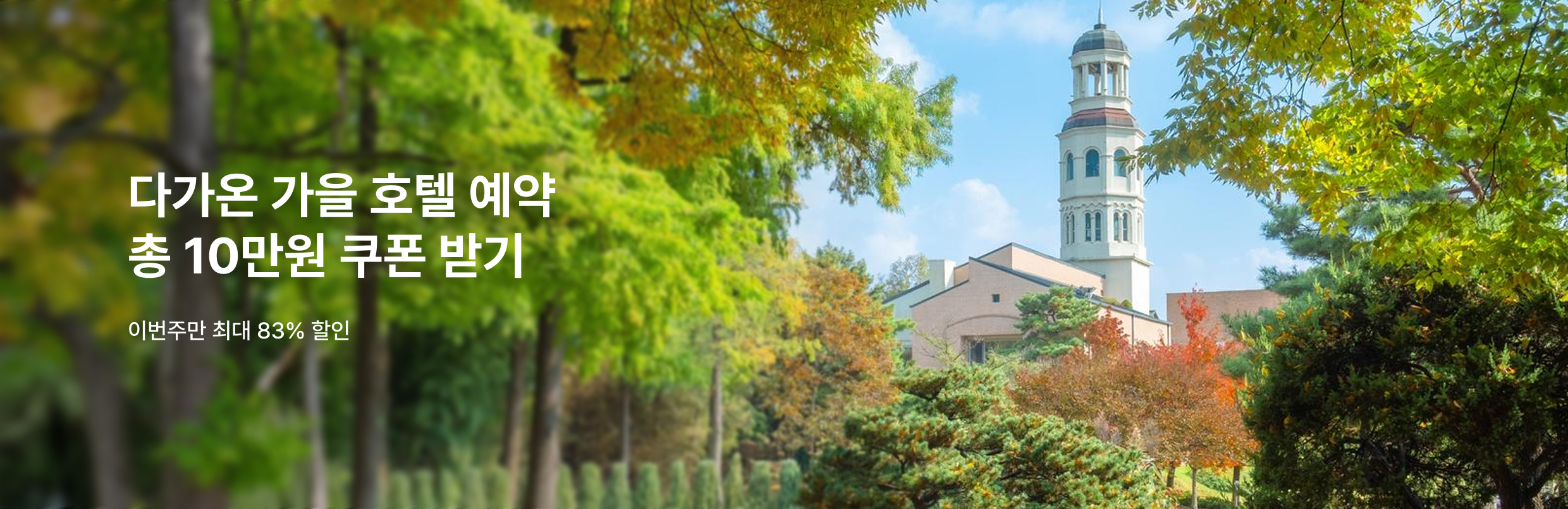 [호텔] 이번주 특가