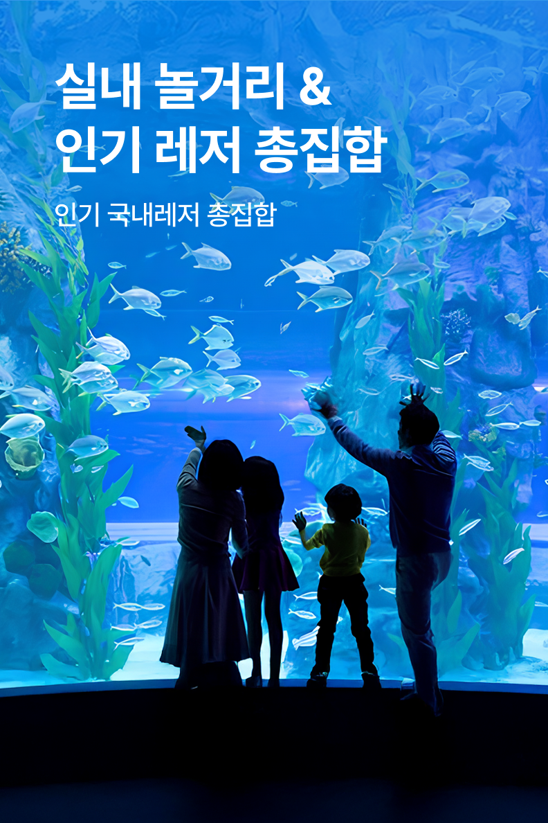 [놀거리] 인기 실내놀거리