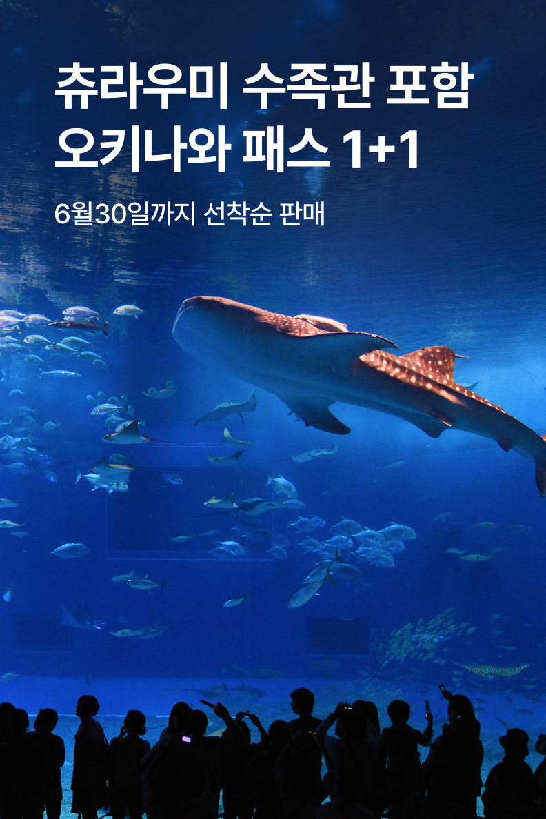 [해외투어티켓] 오키나와조이패스