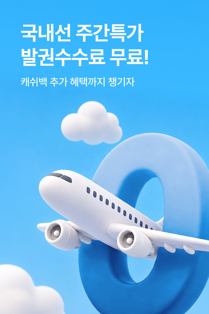 [항공] 국내선 주간특가