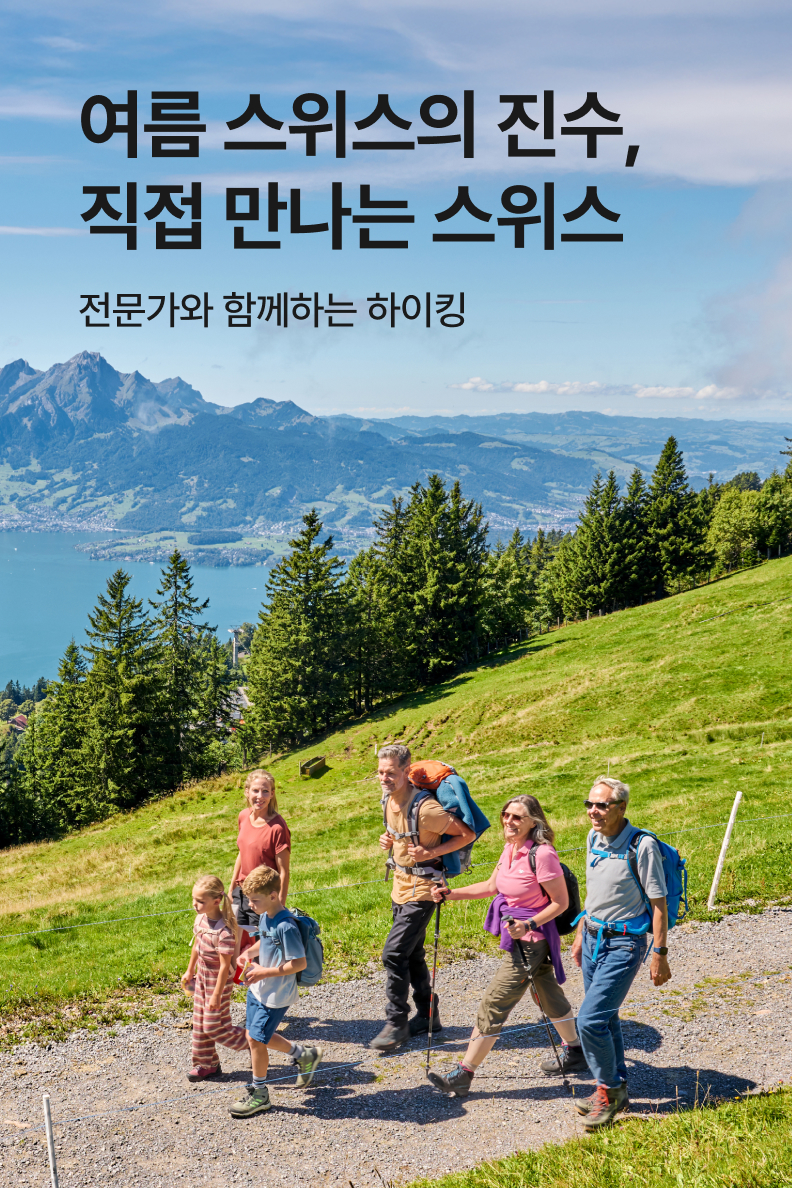 [해외투어티켓] 점도덕