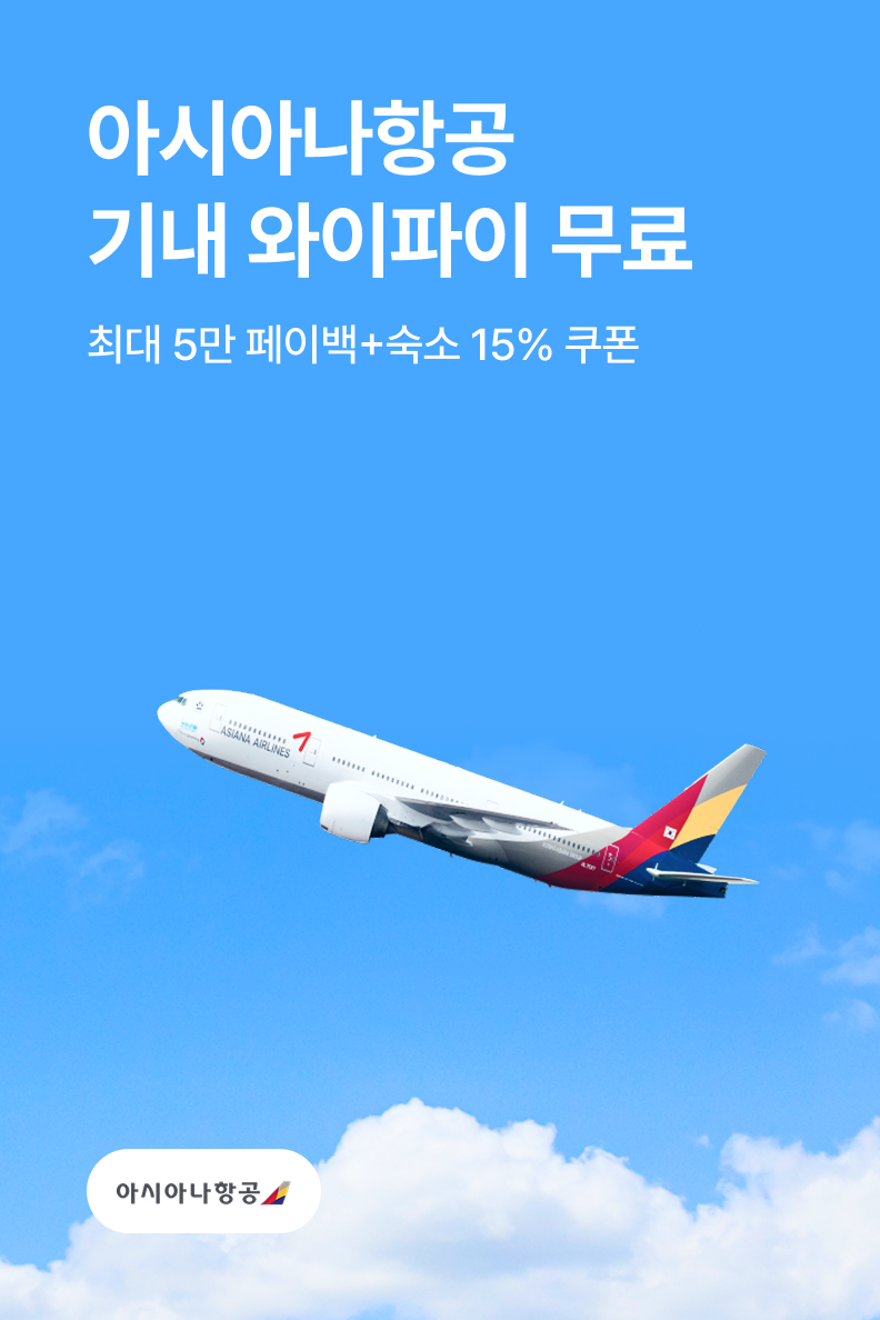 [항공] 아시아나항공 와이파이
