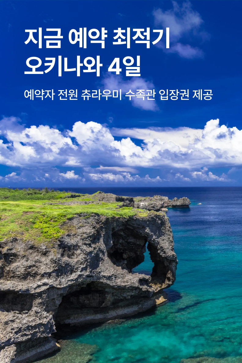 [패키지] 오키나와
