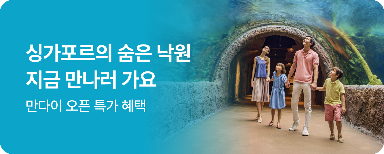 싱가포르 만다이 그룹 프로모션