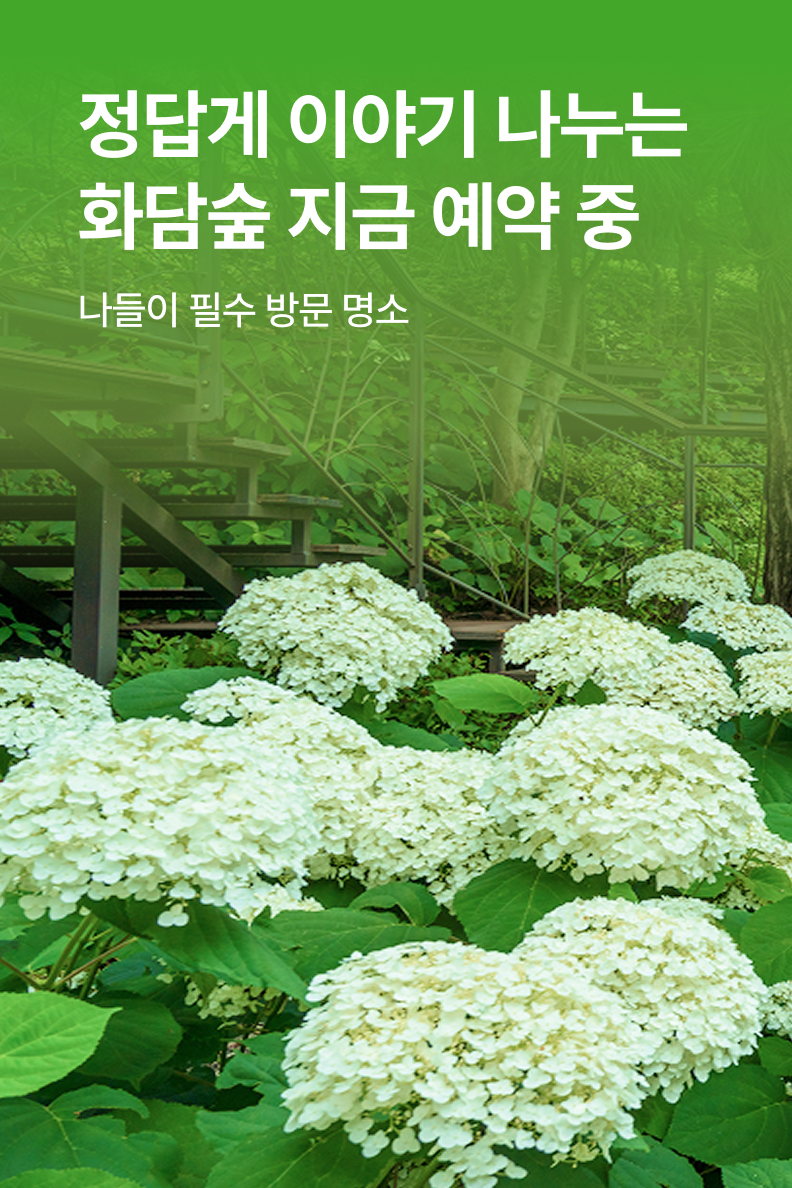 [놀거리] 화담숲