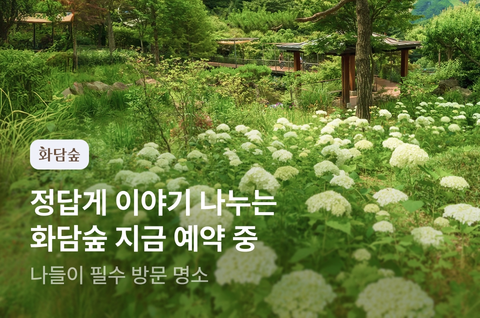 [놀거리] 화담숲