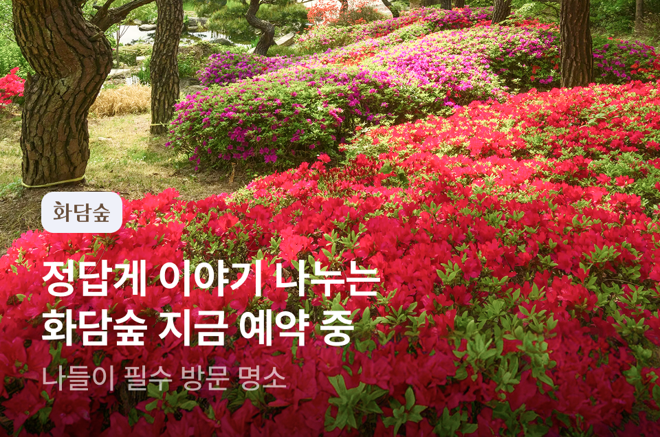 [놀거리] 화담숲