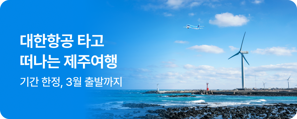대한항공 국내선 특가