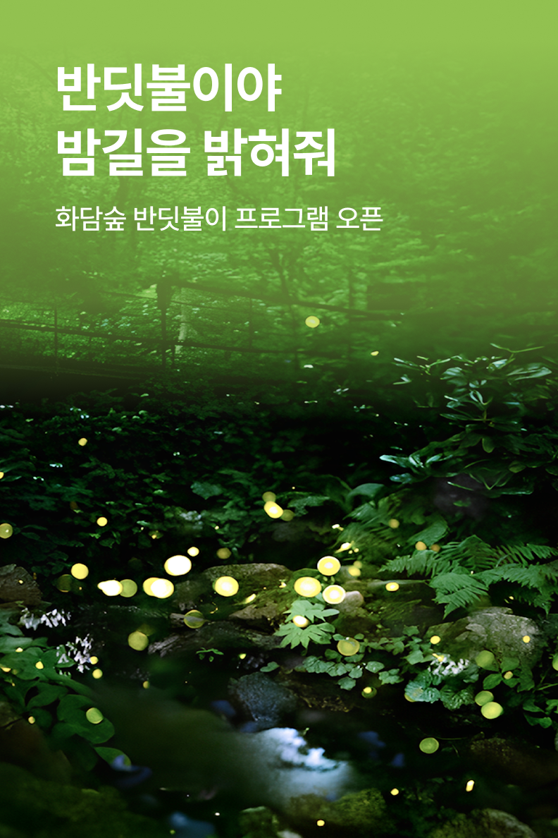 [놀거리] 화담숲 반딧불이