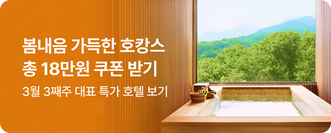 쿠폰팩&이번주 대표 특가 호텔