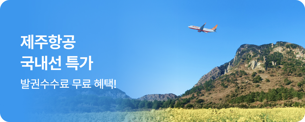 제주항공 국내선 특가