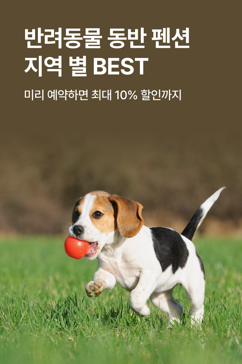 [펜션] 반려동물 펜션