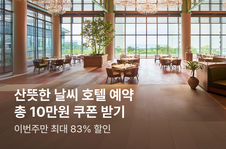 [호텔] 이번주 특가