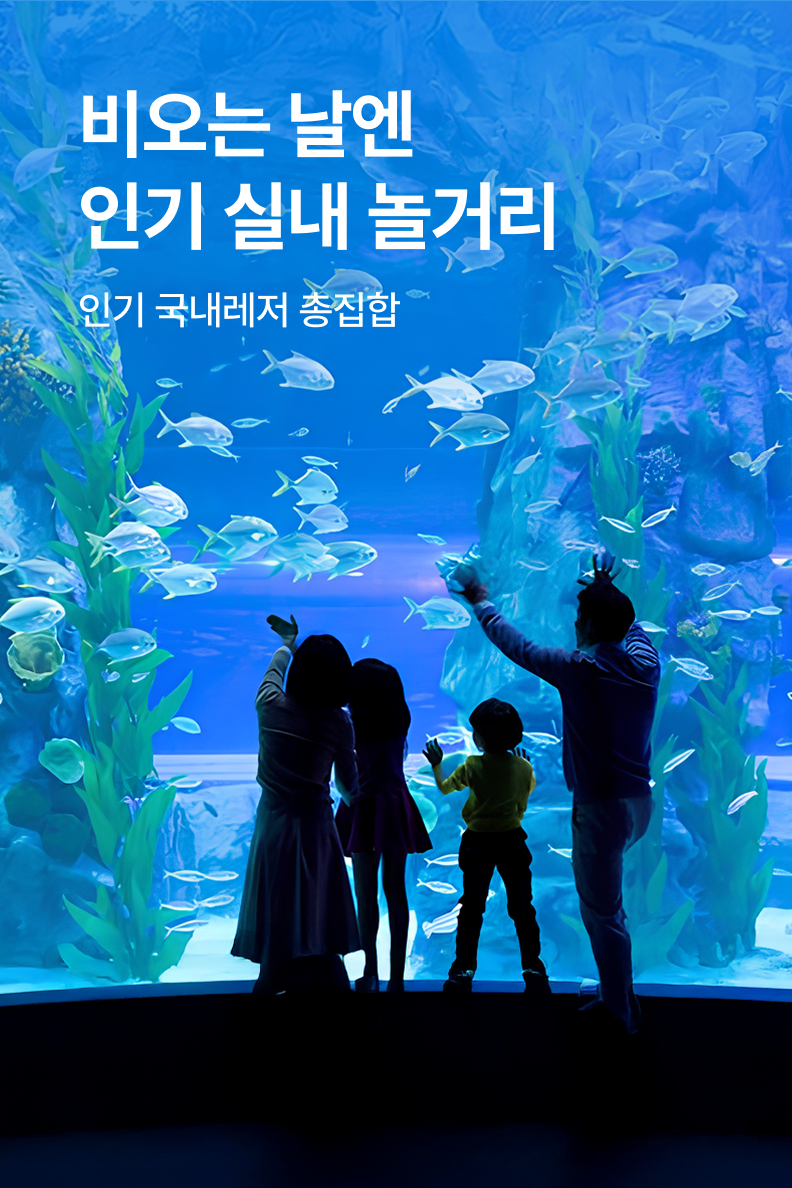 [놀거리]  인기놀거리