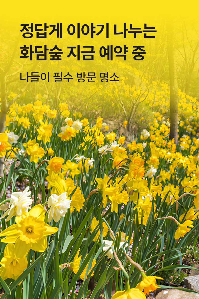 [놀거리] 화담숲