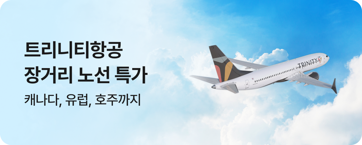 트리니티항공 장거리 특가