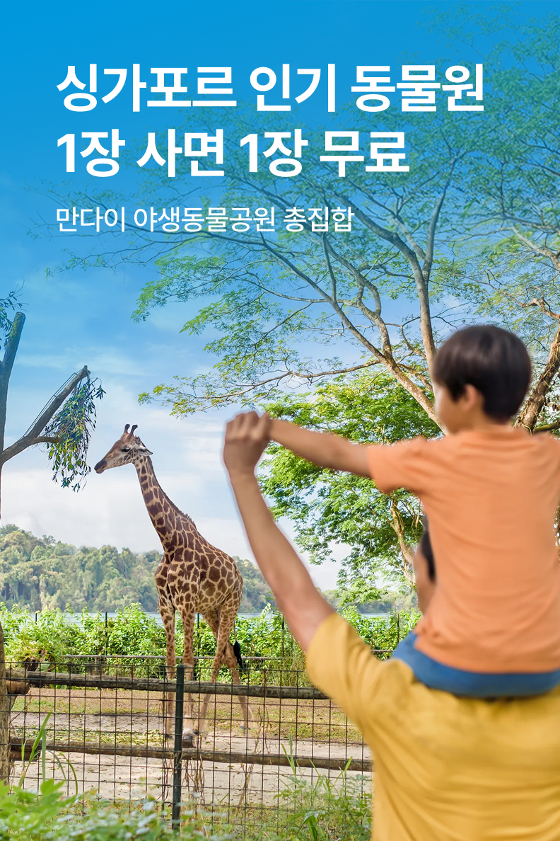 [해외투어티켓] 만다이