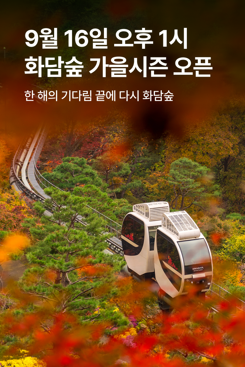 [놀거리] 화담숲
