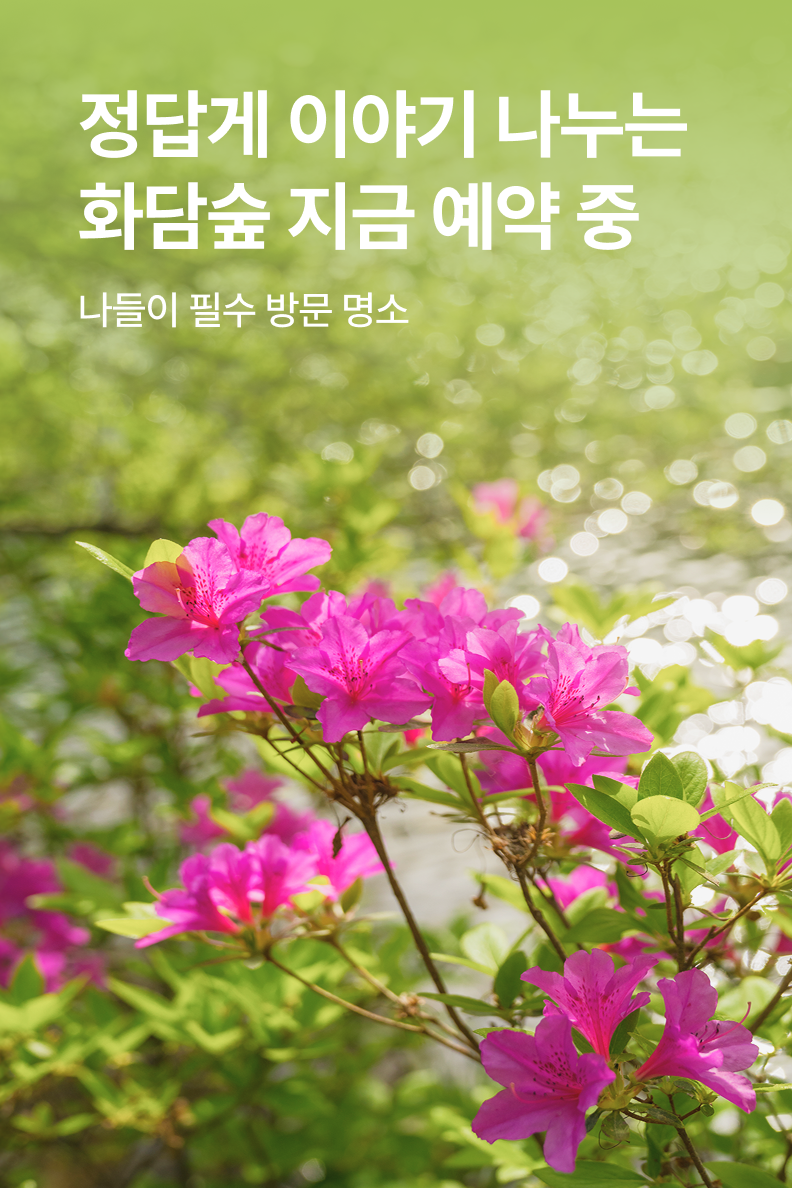 [놀거리] 화담숲