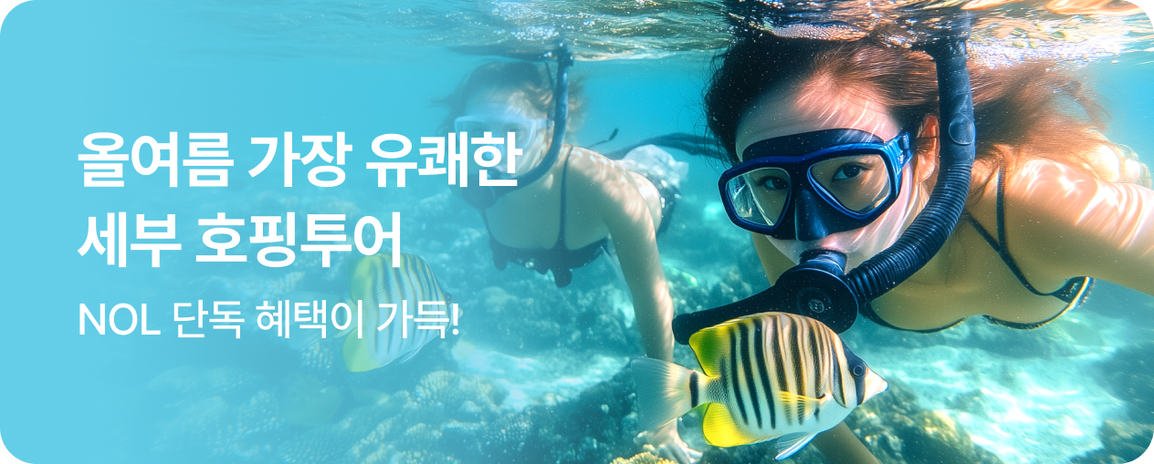 7. 세부호핑투어(~6/20)